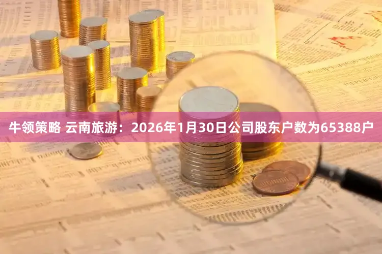 牛领策略 云南旅游：2026年1月30日公司股东户数为65388户