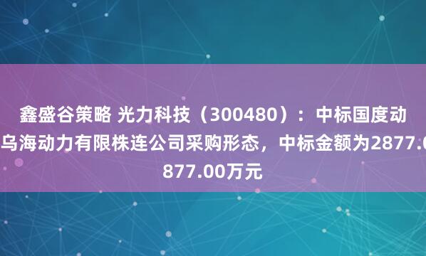 鑫盛谷策略 光力科技（300480）：中标国度动力集团乌海动力有限株连公司采购形态，中标金额为2877.00万元