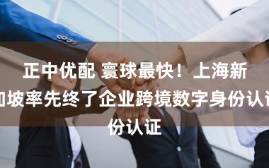 正中优配 寰球最快！上海新加坡率先终了企业跨境数字身份认证