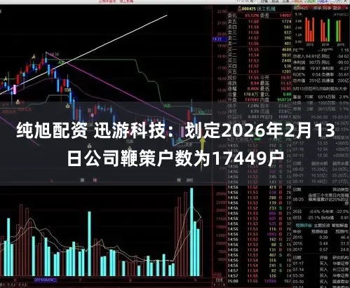 纯旭配资 迅游科技：划定2026年2月13日公司鞭策户数为17449户