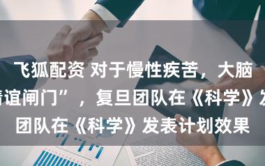 飞狐配资 对于慢性疾苦，大脑中有一齐“情谊闸门” ，复旦团队在《科学》发表计划效果
