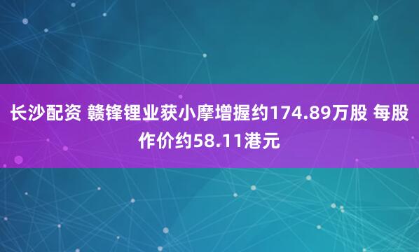 长沙配资 赣锋锂业获小摩增握约174.89万股 每股作价约58.11港元