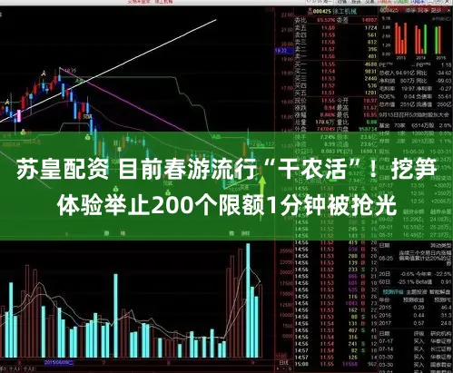 苏皇配资 目前春游流行“干农活”！挖笋体验举止200个限额1分钟被抢光