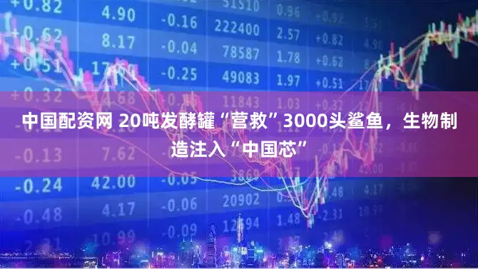 中国配资网 20吨发酵罐“营救”3000头鲨鱼,生物制造注入“中国芯”