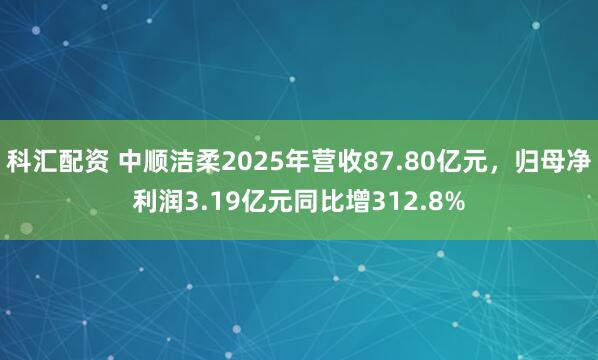 科汇配资 中顺洁柔2025年营收87.80亿元，归母净利润3.19亿元同比增312.8%