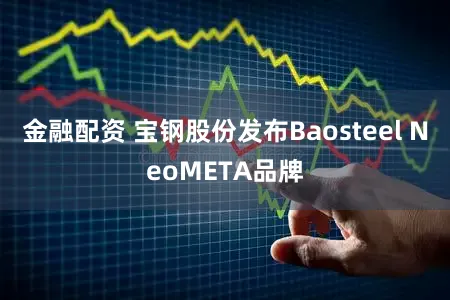 金融配资 宝钢股份发布Baosteel NeoMETA品牌